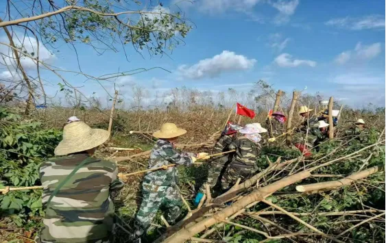 1741879888578018914.jpg 1741879888578018914.jpg