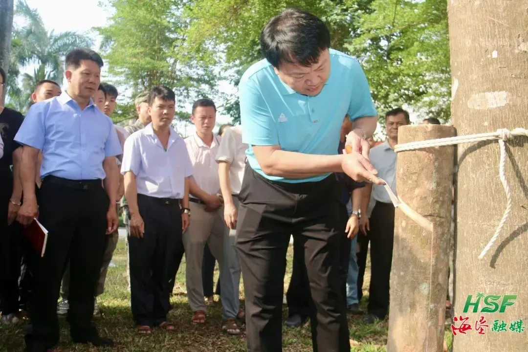 1742265970641003154.jpg 1742265970641003154.jpg